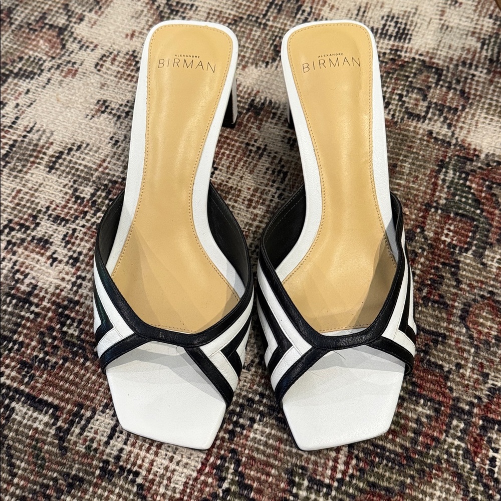 Alexandre Birman block heel mule